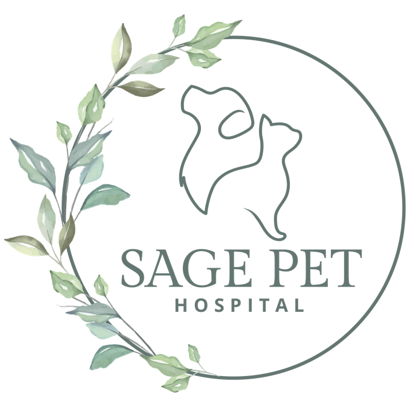 Vet Near Me Hendersonville, NC 28791 | Sage Pet Hospital